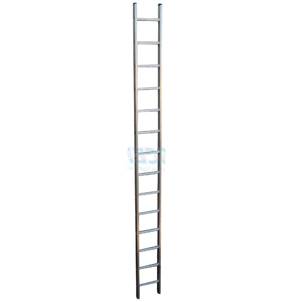 Straight Ladder (Lightweight) – thumbnail 4
